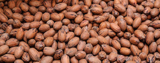 Pecans in Shells Close UP